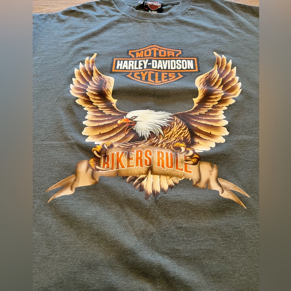 Mens Harley Davidson T-shirt - Picture 2 of 5